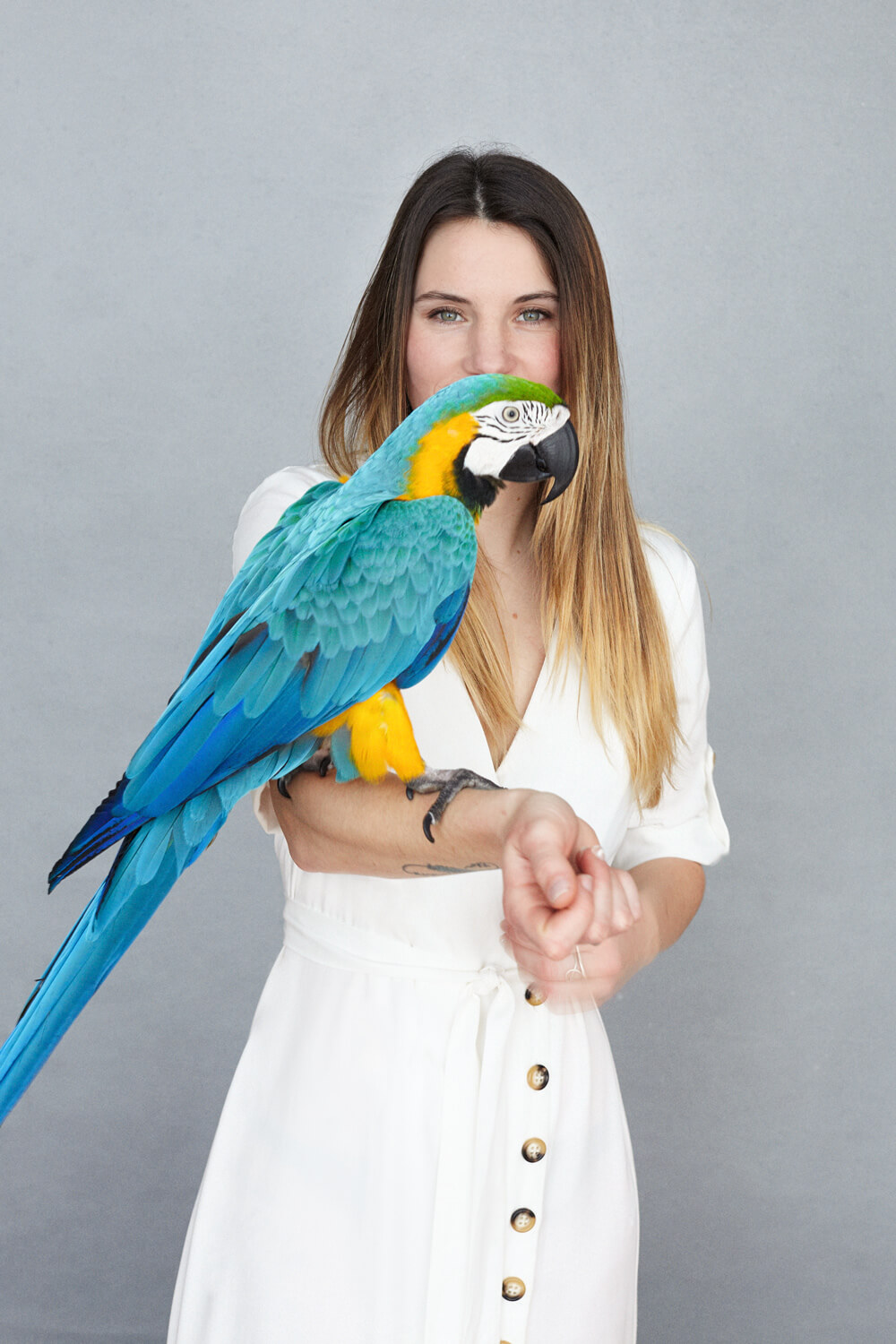 sesion de fotos con guacamayo